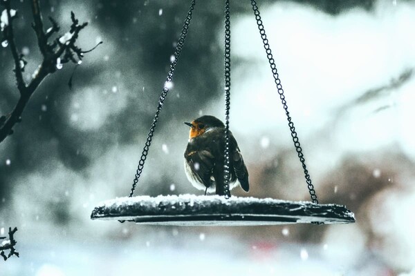 Прогноз погоды в Киеве на выходные 22 и 23 января 2022 года