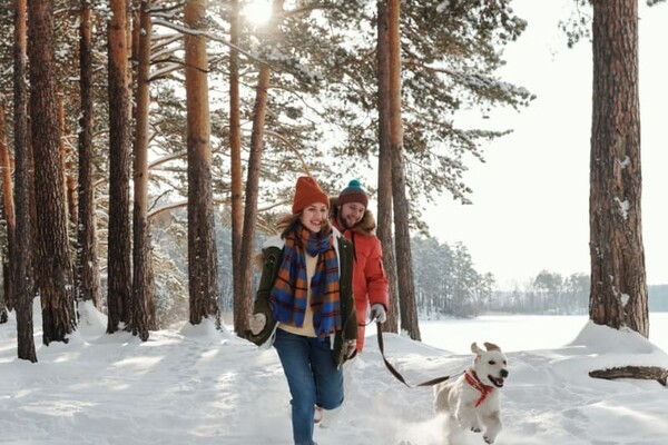 Выходные и праздничные дни в феврале 2022 года в Украине: календарь 