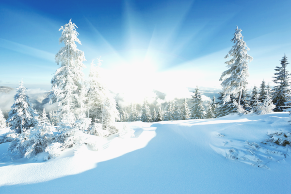 Прогноз погоды в Украине на февраль 2022 года: что прогнозируют синоптики