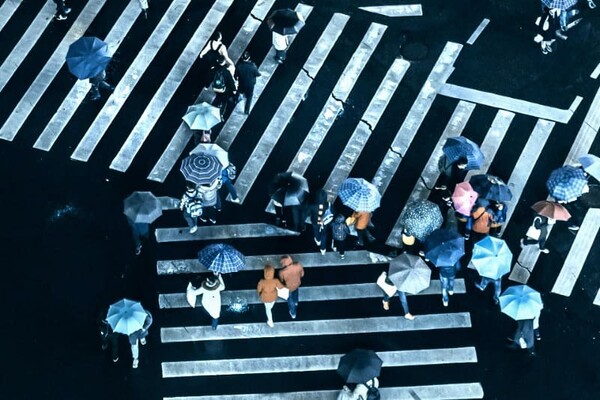 Прогноз погоды в Киеве на выходные 19 и 20 февраля 2022 года