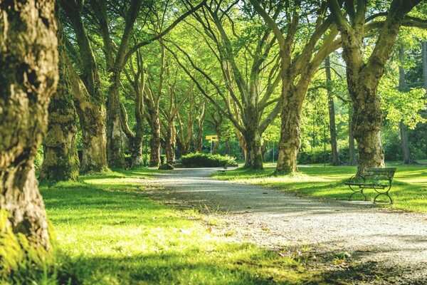 Этой весной в Киеве откроют 8 обновленных зон отдыха: адреса