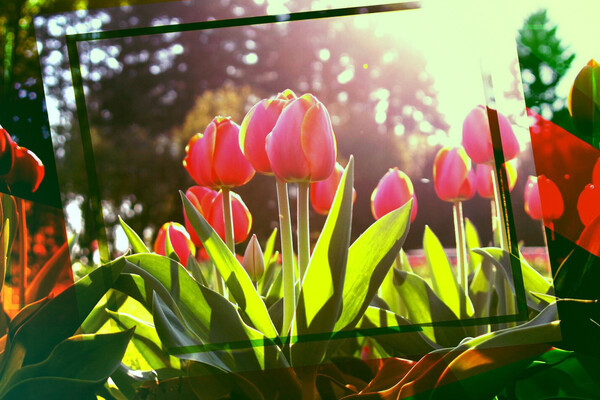 Куда пойти в Киеве на этой неделе: афиша мероприятий с 9 по 13 мая