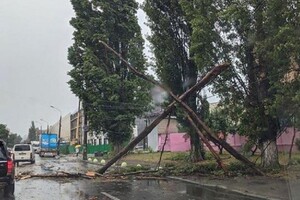 Непогода в Киеве 12 мая: последствия грозы и урагана (фото)