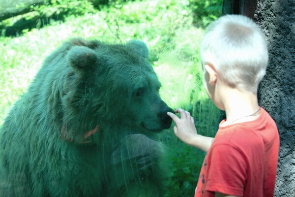 Как в Киевском зоопарке отметили День защиты детей (фото)
