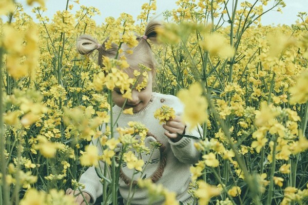 Погода в Києві 