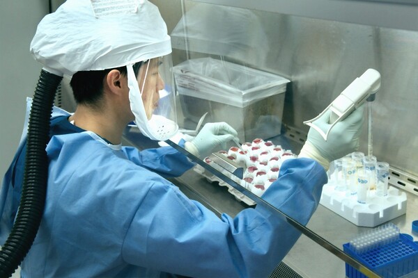 В Китае обнаружили случай бубонной чумы 