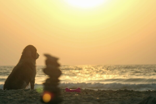 Ученые в Испании впервые присвоили название волне жары 