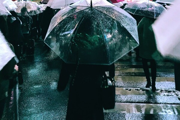 Погода в Киеве 