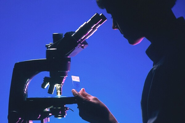 В Украине зафиксировали еще один случай оспы обезьян 