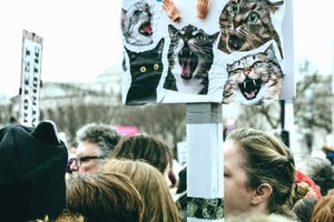 Украинские зоозащитники организовывают в Польше марш в поддержку животных