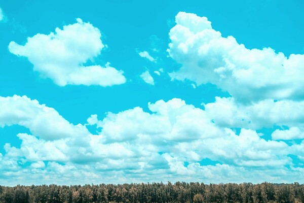 Погода в Киеве на неделю 