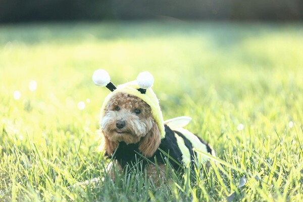 Погода в Киеве на выходных 