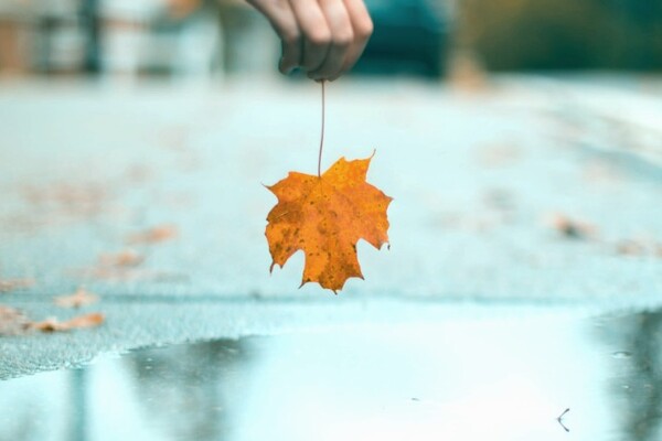 Погода в Киеве на неделю с 17 по 21 октября 2022 года: прогноз