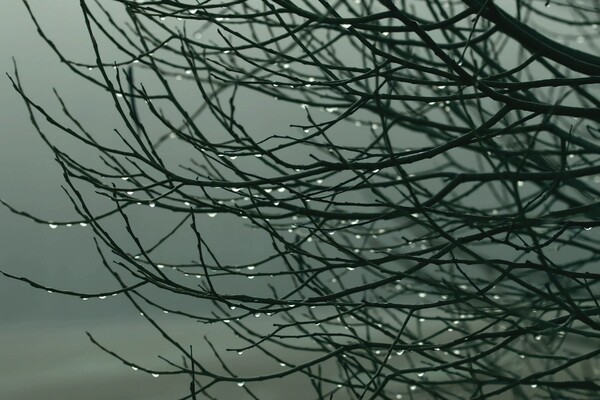 Погода в Киеве 