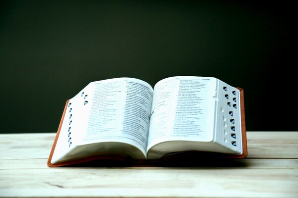 Британский словарь Collins выбрал главное слово 2022 года 