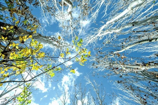 Погода в Киеве на выходных 