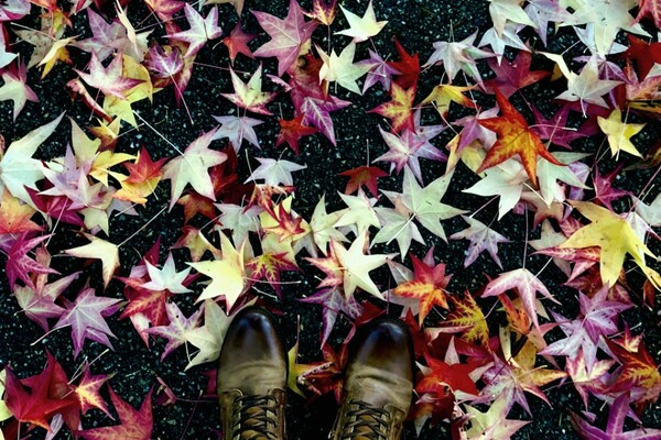 Погода в Киеве на этой неделе 