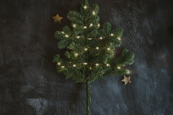 В центре Киева решили все-таки установить новогоднюю елку: какой она будет