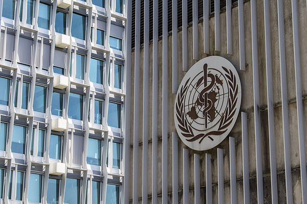 В ВОЗ придумали новое название для оспы обезьян 