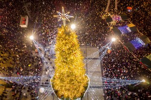 В Киеве установят символическую елку несокрушимости: какой она будет