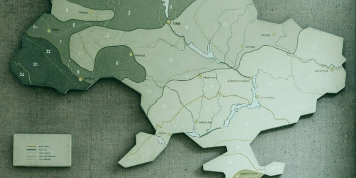 Украина стала страной года по версии журнала The Economist || Marjan Blan/unsplash