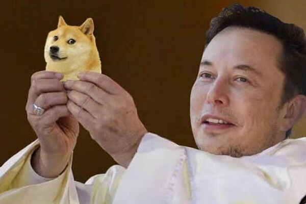 Илон Маск «представил» нового генерального директора Twitter – им стал пес (фото)