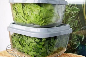 Как сохранить зелень и овощи в холодильнике: несколько полезных советов от экспертов