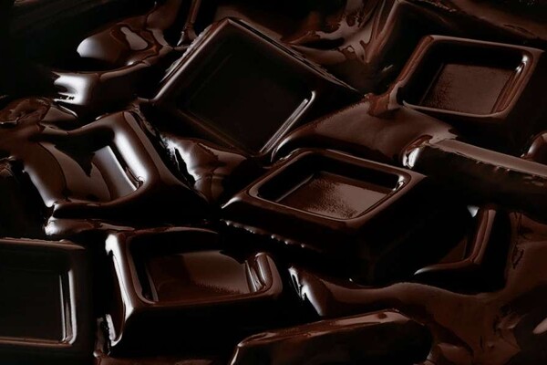 Ученые обнаружили пользу шоколада для мозга и кишечника – исследование