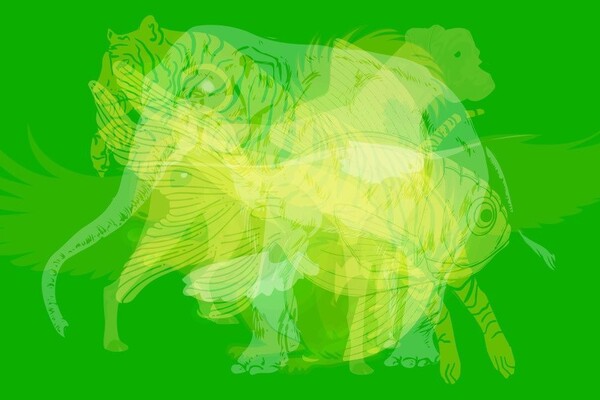 Визуальный тест на личность: какое животное на рисунке вы увидели первым