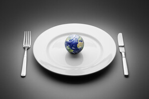 Веганы или мясоеды: оксфордское исследование показало, кто больше вредит планете