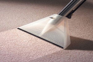 Очищення та довговічність: важливість професійної хімчистки килимів
