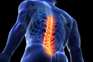 5 шкідливих звичок, через які у вас болить спина