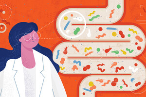 Пробиотики и пребиотики – врач объясняет, в чем разница