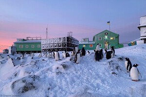 Українські полярники показали фото «білих ночей» в Антарктиді: неймовірні кадри