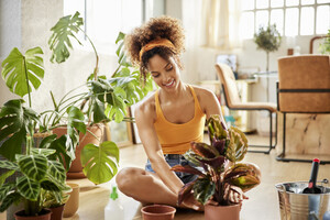 Названо 8 кімнатних рослин, які покращують психічне здоров'я