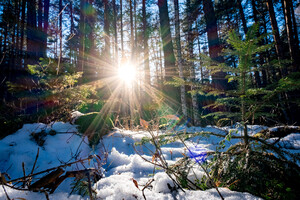 Чого чекати від погоди в останній місяць зими: прогноз на лютий від Укргідрометцентру