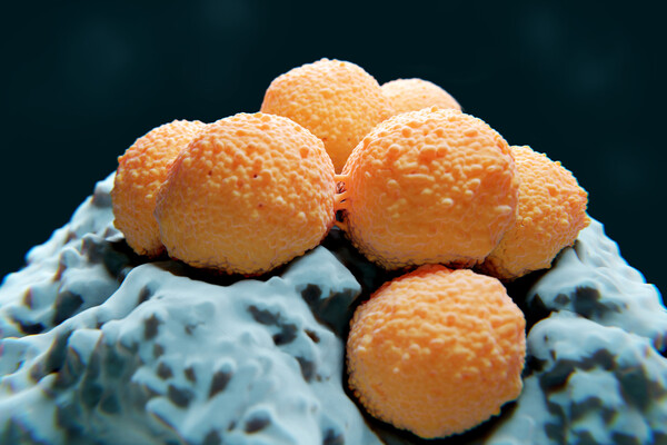 В Японии распространяется редкий вирус, который может убить человека в течение 48 часов