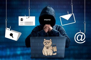 Мошенники украли 6,2 миллиона гривен у украинской блогера и предпринимателя со счета в Monobank