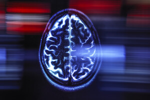 Нейробиологи нашли 