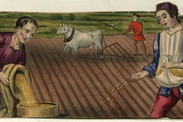 У средневековых крестьян было больше отпусков, чем у людей в 2025 году, — историки