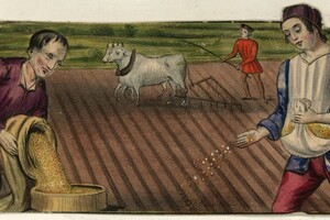 У средневековых крестьян было больше отпусков, чем у людей в 2025 году, — историки