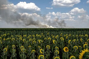  Журнал Time опубликовал 100 главных фото 2025 года – пять из них сделаны в Украине