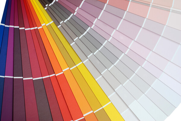 Pantone назвал главный цвет 2026 года: символизирует спокойствие (видео)