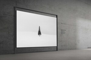 130 дюймов, на которых не потеряются детали: хит CES 2026 – телевизор Samsung Micro RGB