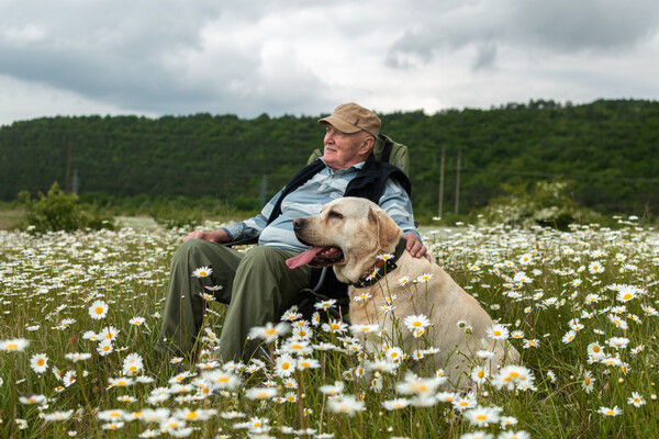 В Украине разрешат передавать домашних животных по завещанию