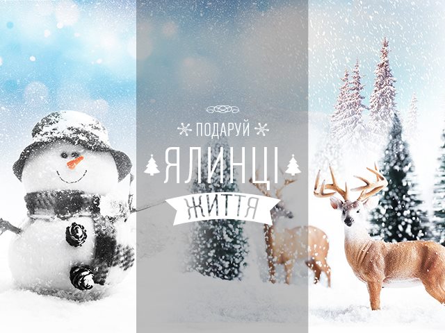 Подаруй ялинці життя