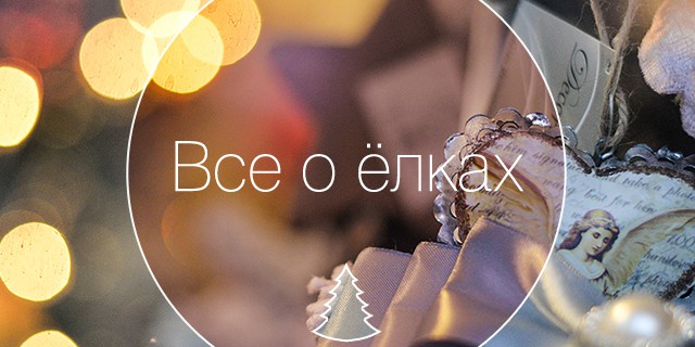 Все о ёлках: 4 нестандартных идеи для декора твоего дома