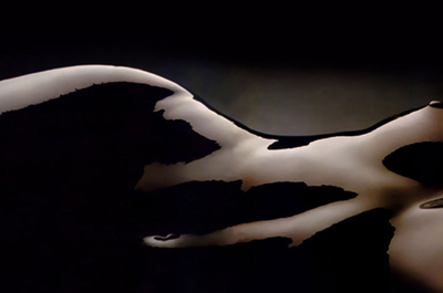 Топ-10 чувственных афродизиаков