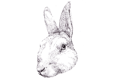 Празднуем Пасху: где купить готовые праздничные корзины?