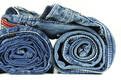 ДЖИНСОЛОГИЯ